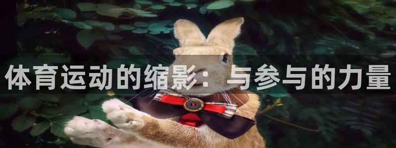 必发官网下载招商电话号码:体育运动的缩影:与参与的力量