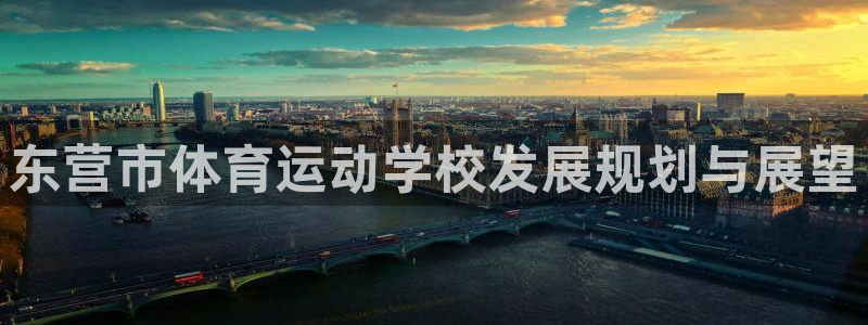 必发官网下载平台是正规平台吗知乎:东营市体育运动学校发展规划