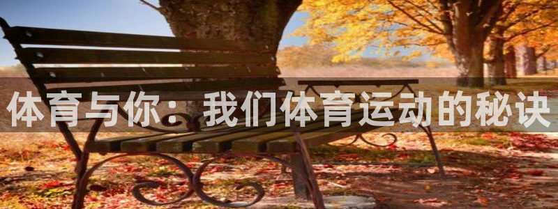 必发官方正版app科技:体育与你:我们体育运动的秘诀